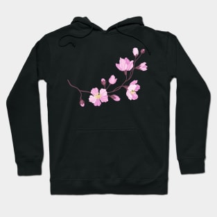 Cherry Blossom Branch Hoodie